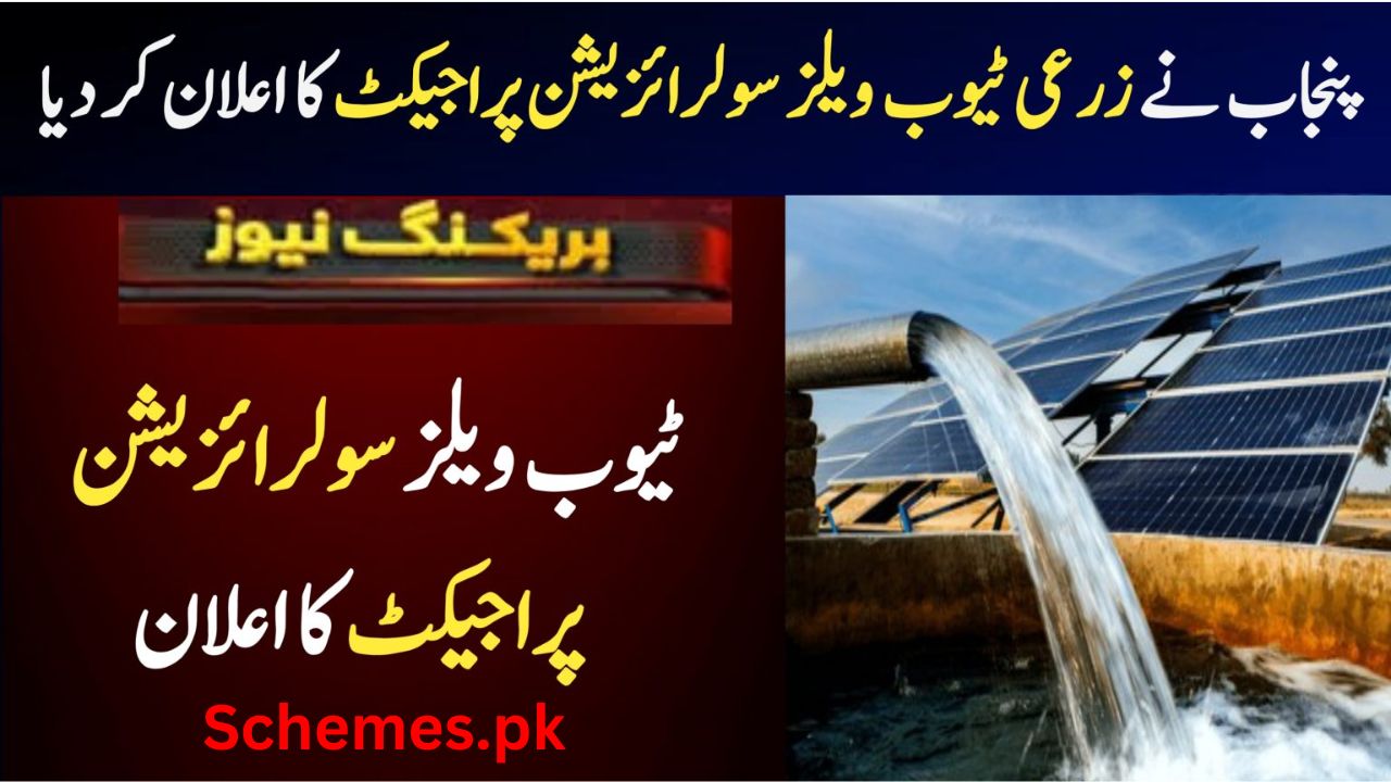 Punjab Govt Announces Ambitious Agriculture Tube Wells Solarization Project