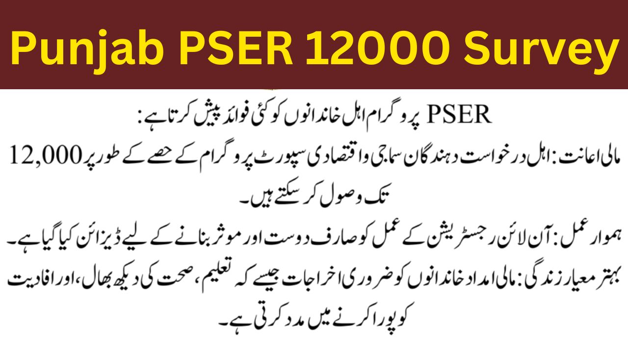 Punjab PSER 12000 Survey