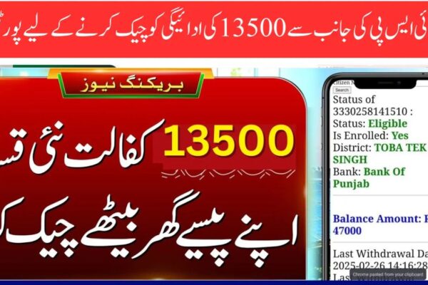 BISP Payment Validation & Confirmation Guide – April 2025 (Check Rs. 13,500 Payment Status via 8171)