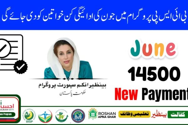 BISP 8171 Qist Payment Eligibility Check 2025 – Online & SMS Guide (Latest Update)