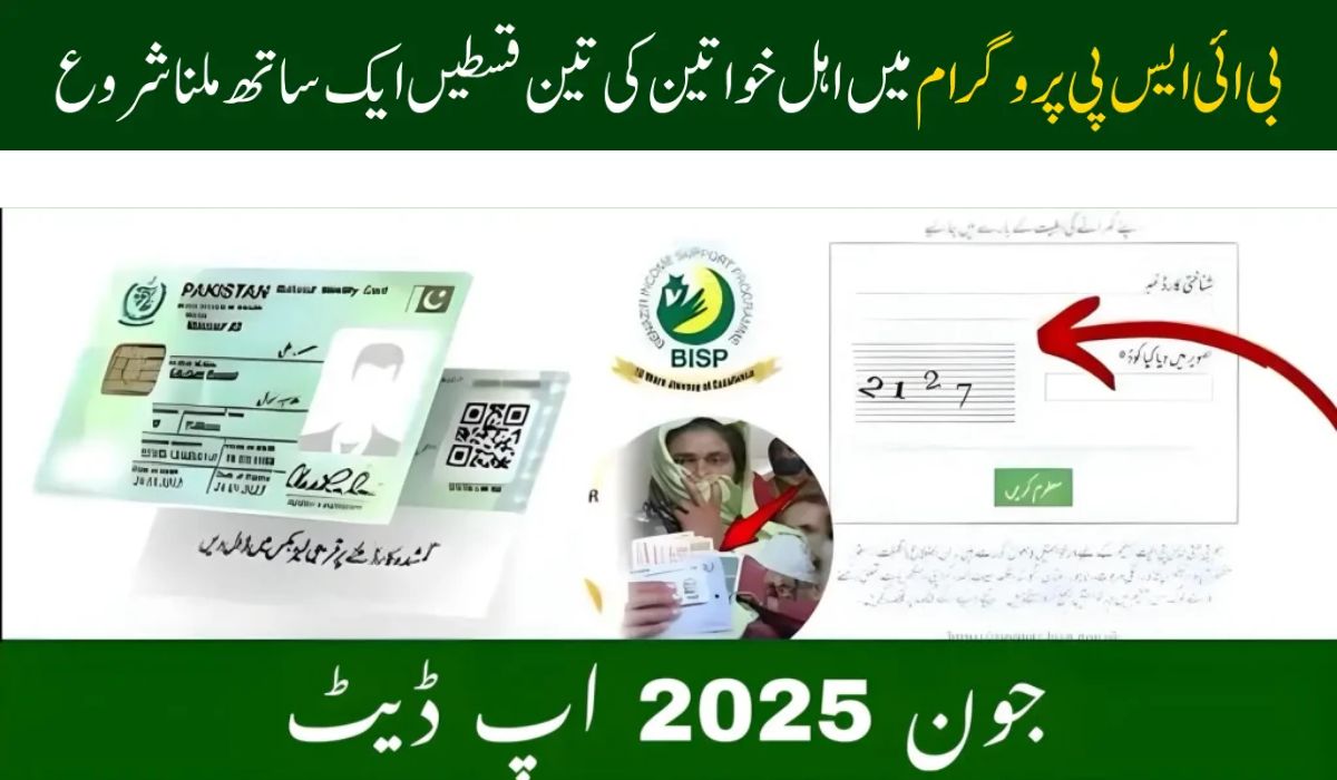 BISP 8171 Online Check Balance 2025 – Complete Guide