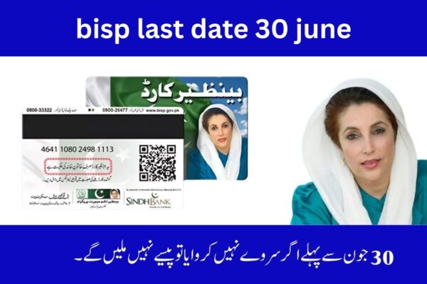 BISP Re-Survey Required Before 30 June 2025 – Don’t Lose Your Monthly Payment!